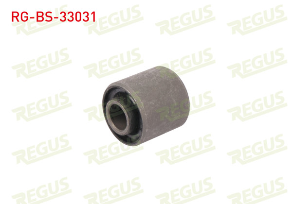 REGUS RG-BS-33031 | Motor Takoz Burcu Citroen Berlingo 1996 -