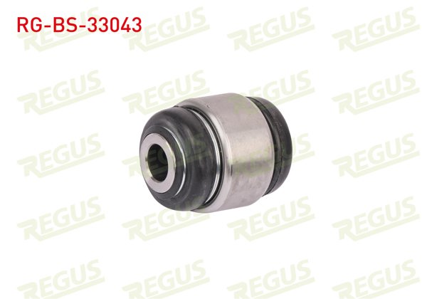 REGUS RG-BS-33043 | Salıncak Burcu Arka Sol-Sağ Alt Peugeot 406 (8B) 1.6 1995-2004