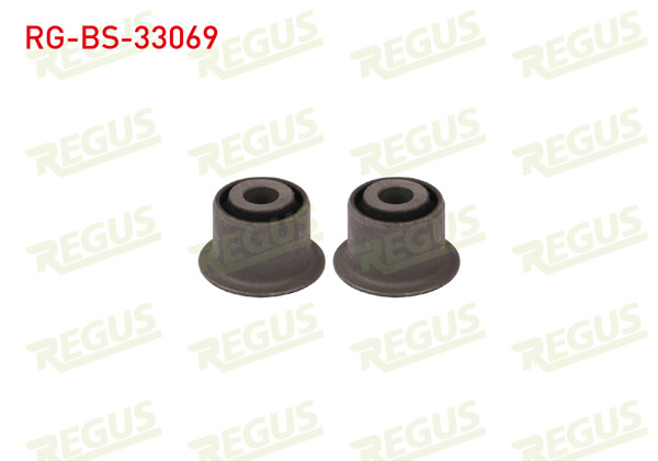 REGUS RG-BS-33069 | Salıncak Burcu Ön Sol-Sağ Alt Takım Citroen Berlingo (Mf) 1.9 D 1996-2005