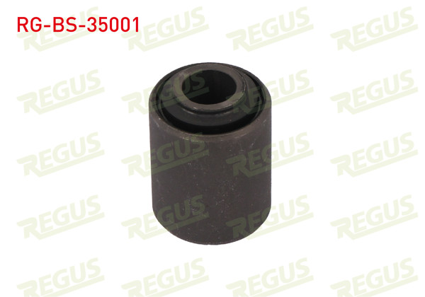 REGUS RG-BS-35001 | Salıncak Burcu Ön Sol-Sağ Alt Renault R12 1.4 1971-2000