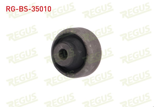 REGUS RG-BS-35010 | Salıncak Burcu Ön Sol-Sağ Alt Renault Clio III (Br0 / 1,Cr0 / 1) 1.2İ 16V 2005-2012