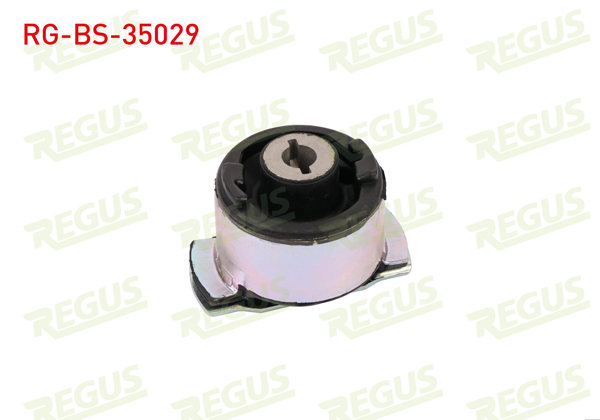 REGUS RG-BS-35029 | Travers Burcu Arka Sağ Renault Laguna II (Bg0 / 1) 1.6İ 16V 2001-2007