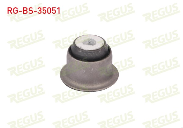 REGUS RG-BS-35051 | Salıncak Burcu Ön Sol-Sağ Alt Renault Clio II (Bb0 / 1 / 2,Cb0 / 1 / 2) 1.4İ 1998-2005