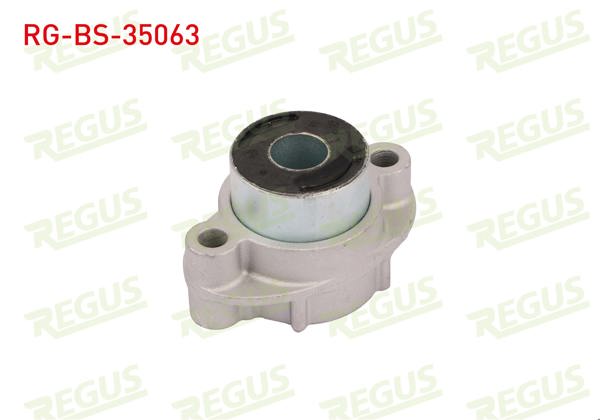 REGUS RG-BS-35063 | Salıncak Burcu Arka Sol-Sağ Renault Escape II (J / S63) 2.0 1991-1996