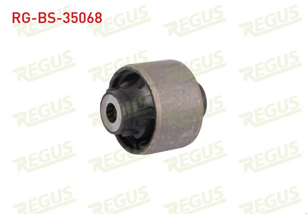 REGUS RG-BS-35068 | Salıncak Burcu Ön Sol-Sağ Nissan Qashqai 1.5 DCI 2014 -