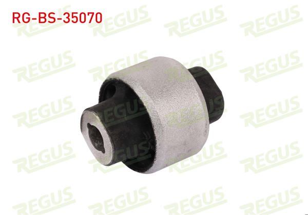 REGUS RG-BS-35070 | Salıncak Burcu Ön Sol-Sağ Renault Megane IV Hb (B9a / M_) 1.5 DCI 2016 -