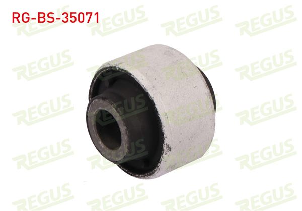 REGUS RG-BS-35071 | Salıncak Burcu Ön Sol-Sağ Renault Megane IV Hb (B9a / M_) 1.5 DCI 2016 -