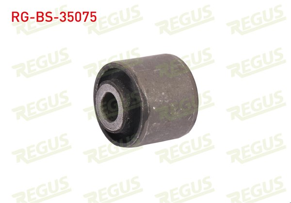 REGUS RG-BS-35075 | Viraj Demir Burcu Arka Renault Master III 2010 -