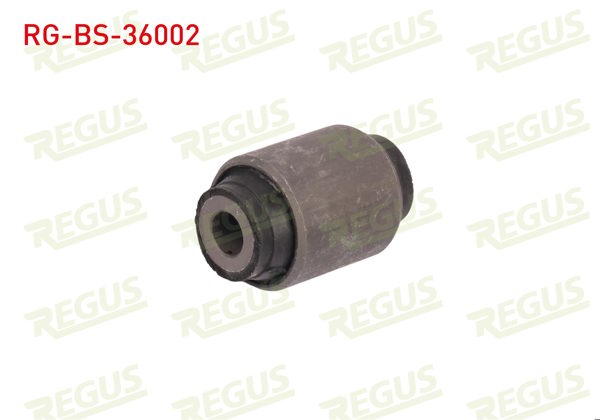 REGUS RG-BS-36002 | Salıncak Burcu Ön Sol-Sağ Alt Rover 200 (Rf) 1.4İ 1995-2000