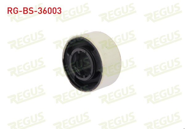 REGUS RG-BS-36003 | Salıncak Burcu Ön Sol-Sağ Alt Rover 75 (Rj) 1.8 1999-2005