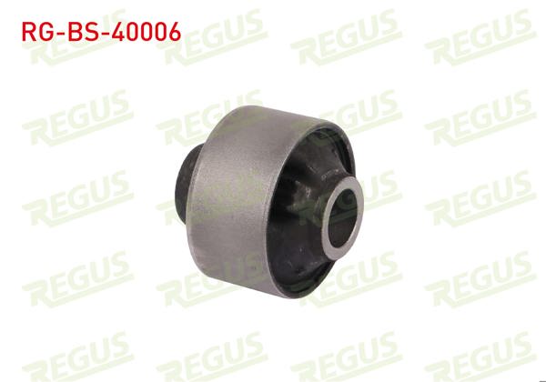 REGUS RG-BS-40006 | Denge Kol Burcu Arka Sol-Sağ Subaru Forester (Sh) 2.0 2008-2013
