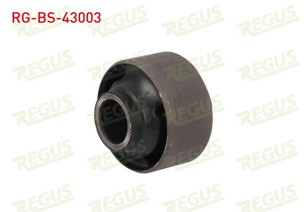 REGUS RG-BS-43003 | Salıncak Burcu Ön Sol-Sağ Alt Toyota Carina E (St191) 2.0İ 1992-1997