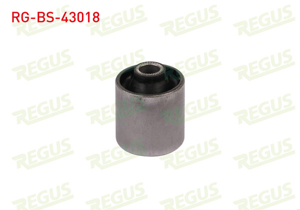 REGUS RG-BS-43018 | Denge Kol Burcu Arka Sol-Sağ Toyota Avensis (T22) 1.6 Vvt-I 1997-2003