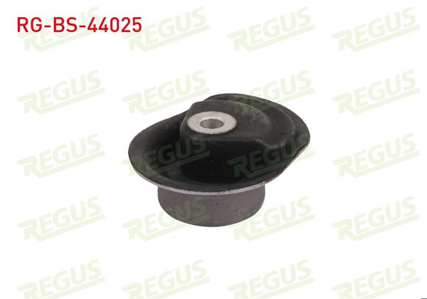 REGUS RG-BS-44025 | Travers Burcu Arka Sol-Sağ Volkswagen Passat (3B2) 1.6 1996-2000