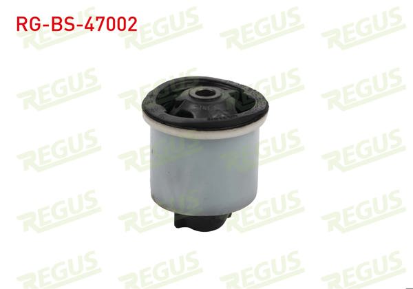 REGUS RG-BS-47002 | Travers Burcu Arka Sol-Sağ Dacia Logan (Ls) 1.5 DCI 2004-2012