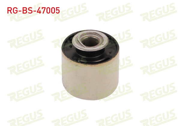 REGUS RG-BS-47005 | Denge Kol Burcu Arka Sol-Sağ Dacia Duster 1.5 DCI 2010 -