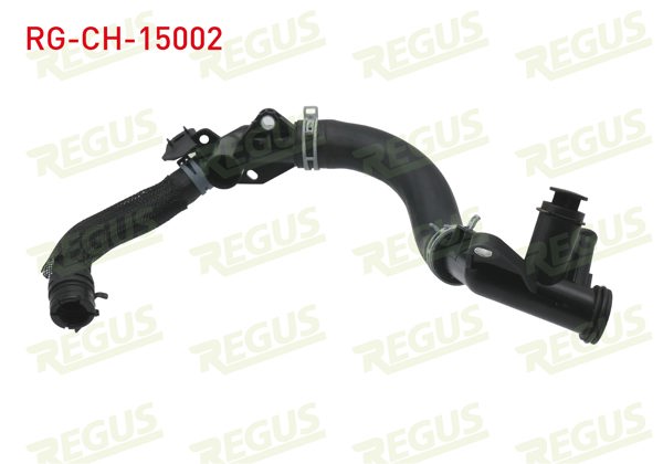REGUS RG-CH-15002 | Devirdaim Hortumu Citroen C-Elysee 1.6 HDI 2012 -