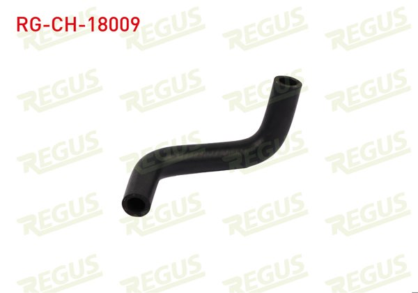 REGUS RG-CH-18009 | Devirdaim Hortumu Fiat Doblo (119,223) 1.9 D 2001-2010