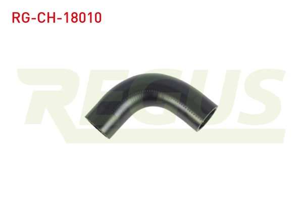 REGUS RG-CH-18010 | Devirdaim Hortumu Fiat Doblo (119,223) 1.6 2001-2010