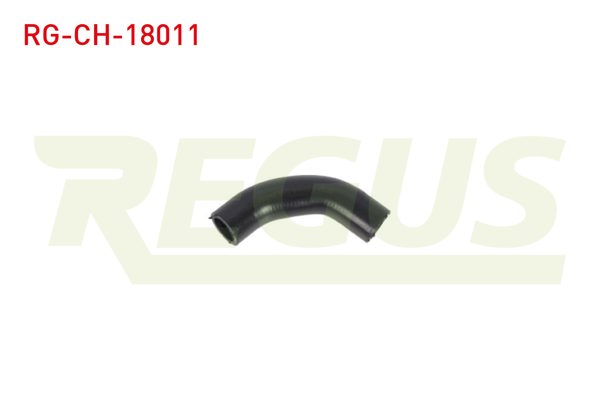 REGUS RG-CH-18011 | Devirdaim Hortumu Fiat Doblo (119,223) 1.9 JTD 2001-2010