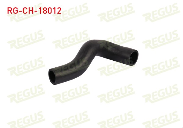 REGUS RG-CH-18012 | Termostat Hortumu M.131 / Dks