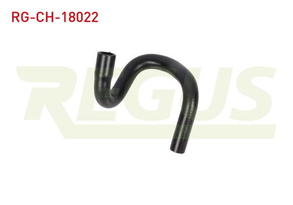 REGUS RG-CH-18022 | Devirdaim Hortumu Fiat Ducato (250) 2.2 Mjt 2006-2014