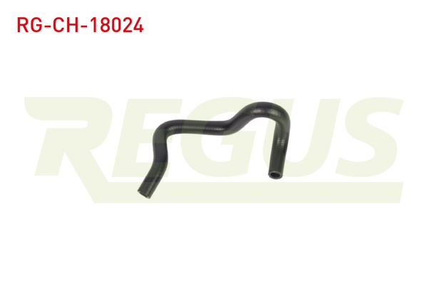 REGUS RG-CH-18024 | Devirdaim Hortumu Fiat Doblo (119,223) 1.9 JTD 2001-2010