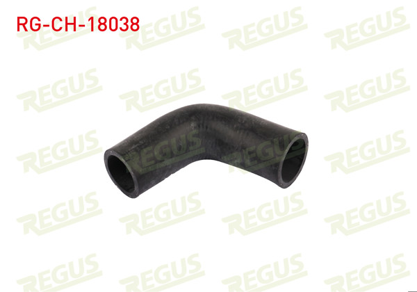 REGUS RG-CH-18038 | Termostat Hortumu Dırsek Dogan SLX