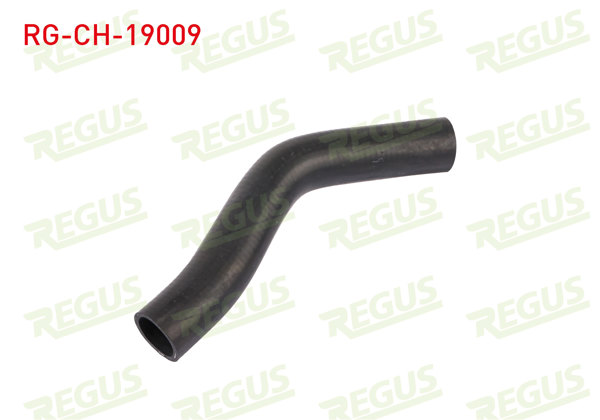 REGUS RG-CH-19009 | Devirdaim Hortumu Ford Transit (V184) 2.4 TDCI 2000-2006