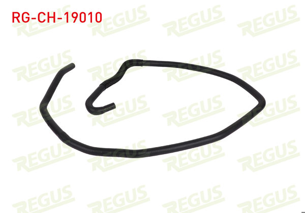 REGUS RG-CH-19010 | Yedek Su Depo Hortumu Ford Focus II (Da) 1.4İ 2004-2011