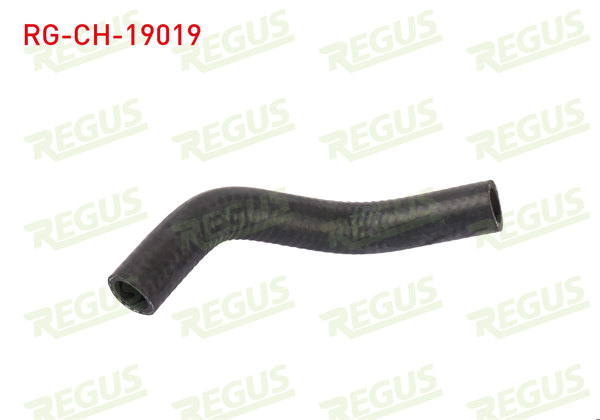 REGUS RG-CH-19019 | Devirdaim Hortumu Ford Transit (V347) 2.2 TDCI 2006-2014