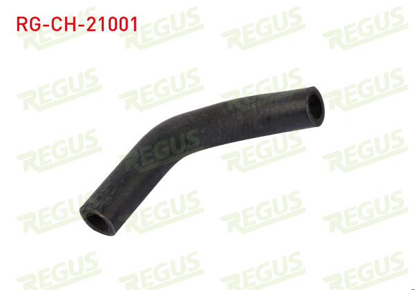 REGUS RG-CH-21001 | Bypass Hortumu Hyundai Accent Era 1.5 CRDI 2006-2012