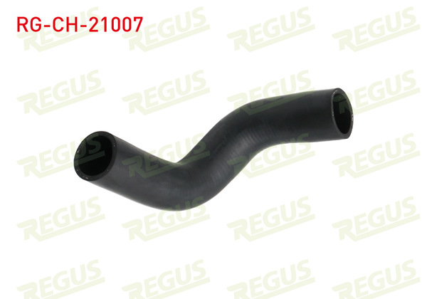 REGUS RG-CH-21007 | Termostat Hortumu Hyundai Accent II (Lc) 1.6İ 2000-2005
