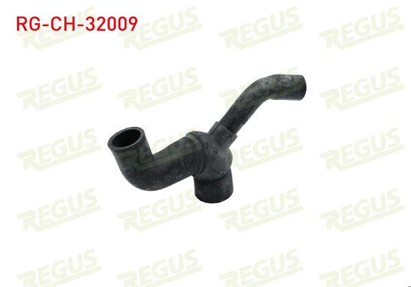 REGUS RG-CH-32009 | Devirdaim Hortumu Opel Astra G (F69) 1.6 16V 1998-2005