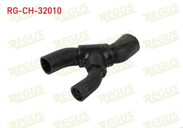 REGUS RG-CH-32010 | Devirdaim Hortumu Opel Astra G (F69) 1.8 16V 1998-2005
