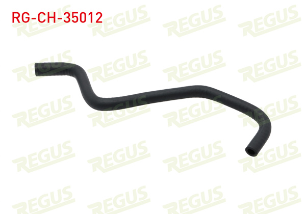 REGUS RG-CH-35012 | Devirdaim Hortumu Renault R11 (B / C37) 1.4 1983-1995 | 5 Adet