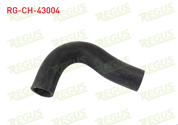 REGUS RG-CH-43004 | Devirdaim Hortumu Corolla 1.6