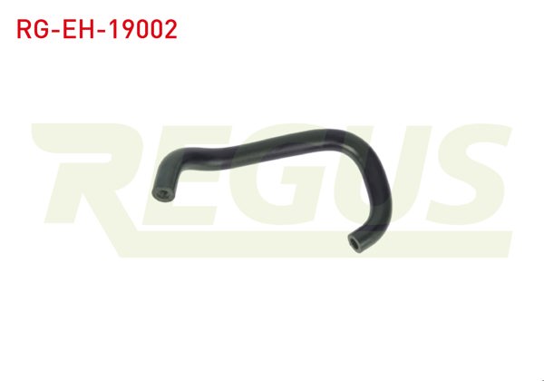 REGUS RG-EH-19002 | Karter Havalandırma Hortumu Ford Focus II (Da) 1.6İ 2004-2011