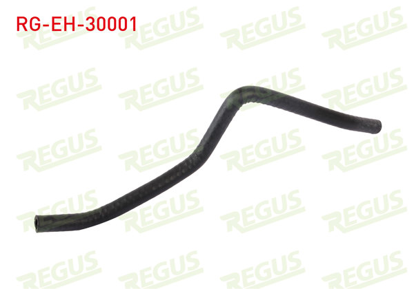 REGUS RG-EH-30001 | Jıkle Hortumu Mitsubishi L300 (P0w,P1w) 2.5 D 1997-2006