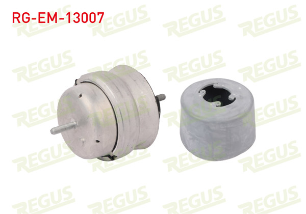 REGUS RG-EM-13007 | Motor Takozu Ön Sol Audi A4 (8E2,B6) 1.8 T 2000-2004