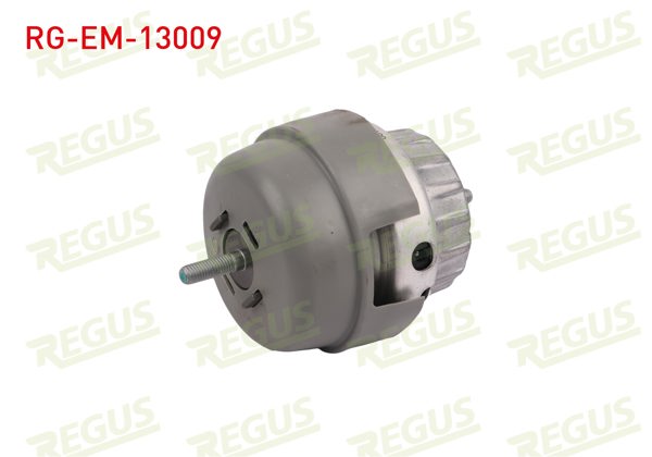 REGUS RG-EM-13009 | Motor Takozu Ön Sol Audi A6 (4F2,C6) 2.4 2004-2011