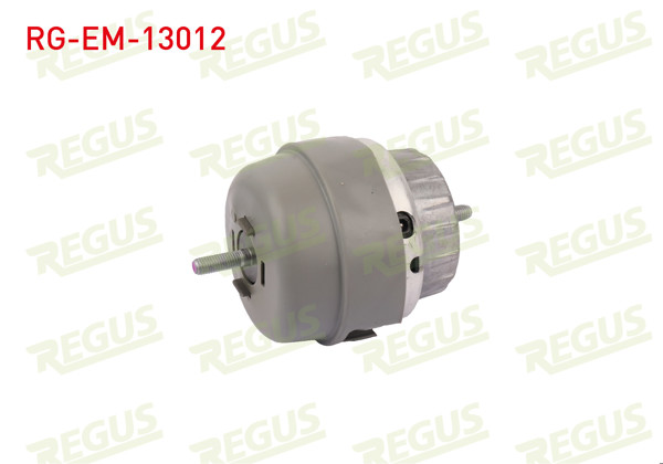 REGUS RG-EM-13012 | Motor Takozu Ön Sağ Audi A6 (4F2,C6) 2.0 TFSI 2004-2011
