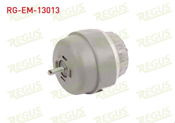 REGUS RG-EM-13013 | Motor Takozu Ön Sağ Audi A6 (4F2,C6) 2.0 TDI 2004-2011