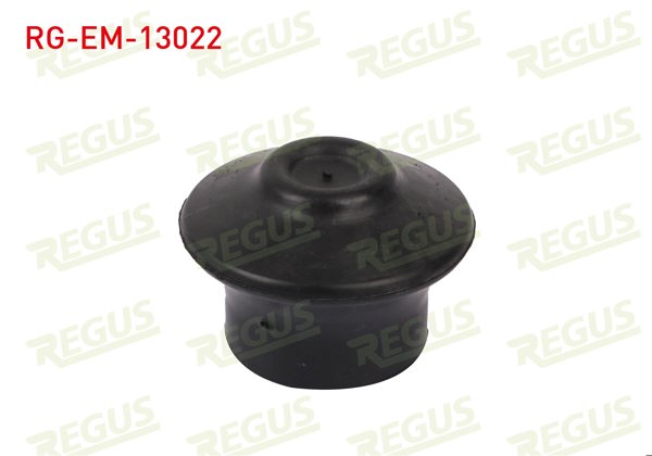 REGUS RG-EM-13022 | Motor Takozu Ön Sol-Sağ Audi A4 (8D2,B5) 1.6 1994-2001