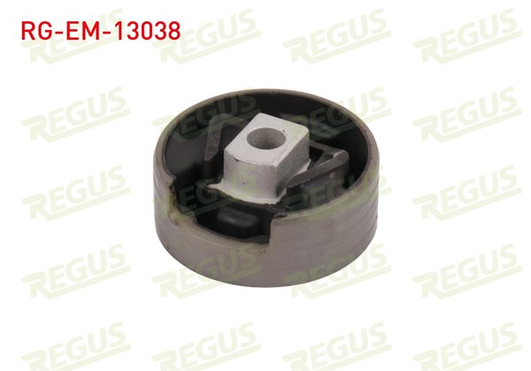 REGUS RG-EM-13038 | Motor Takozu Arka Alt Audi A3 (8V1) 1.6 TDI 2012 -