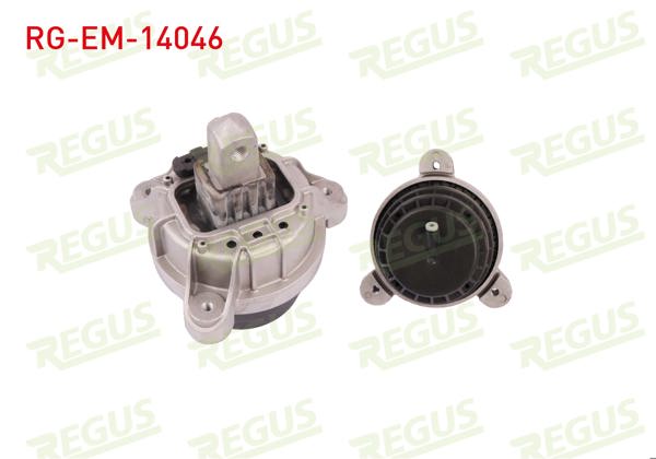 REGUS RG-EM-14046 | Motor Takozu BMW 5 Serisi (F10) 5.20 D 2010 -