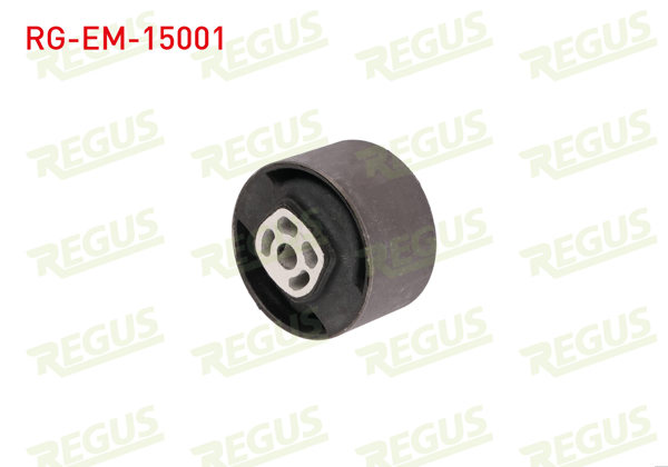 REGUS RG-EM-15001 | Motor Takoz Burcu Ön Sağ Cap 70 Peugeot Partner (5,5F) 1.9 D 1996-2008