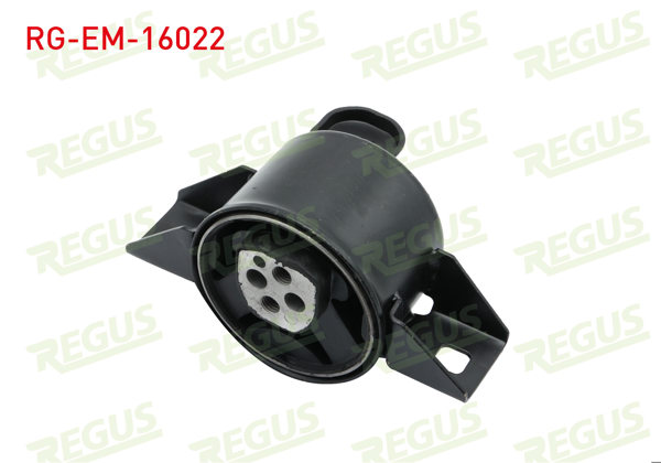 REGUS RG-EM-16022 | Motor Takozu Aveo / Kalos
