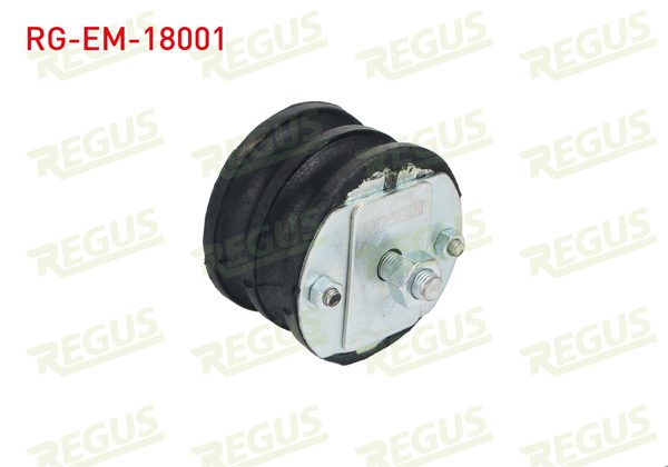 REGUS RG-EM-18001 | Motor Takozu Yaylı Tip M.131 / Dks