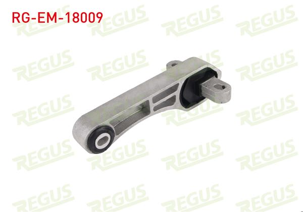 REGUS RG-EM-18009 | Motor Takozu Arka Linea 1.3 Mtj